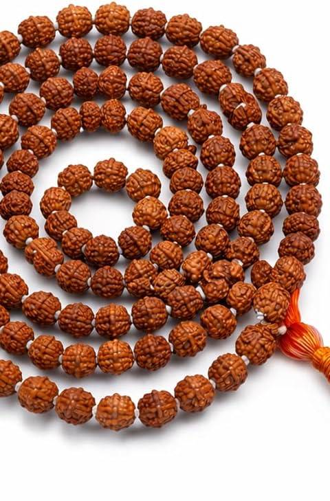 5-Mukhi Rudraksha Mala — Java, 108 Beads