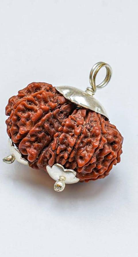 Gauri Shankar Rudraksha — Naturally Joined Pair, Nepal